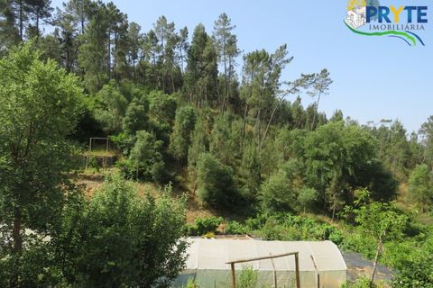 Farm i Serta, Castelo Branco, Serta - € 275.000 | Ref: AA322 - foto 22