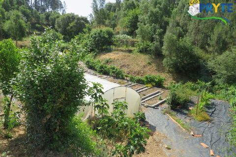 Farm i Serta, Castelo Branco, Serta - € 275.000 | Ref: AA322 - foto 23