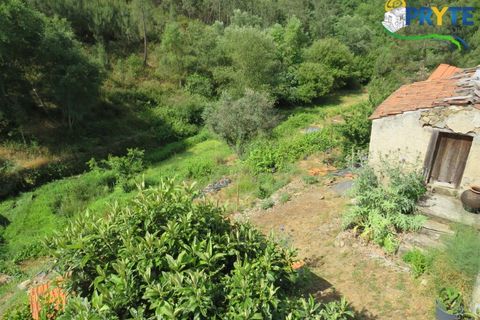 Farm i Serta, Castelo Branco, Serta - € 275.000 | Ref: AA322 - foto 40
