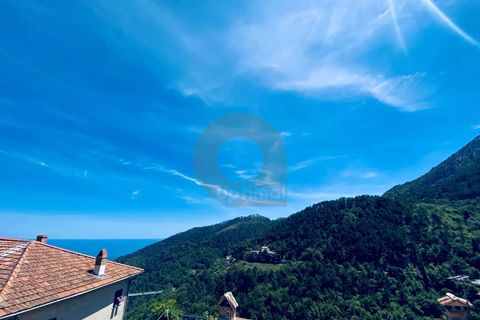 Herregård i Gorbio, Alpes-Maritimes, Gorbio - € 330 000 | Ref: D15859 - foto 19