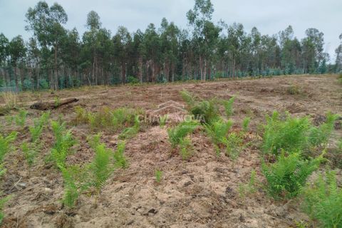 Helårsgrund i Agueda, Aveiro, Agueda - € 55.000 | Ref: AVR/00696 - foto 2