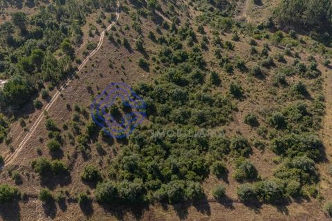 Helårsgrund i Coimbra, Coimbra, Coimbra - € 400.000 | Ref: 1106591 - foto 8