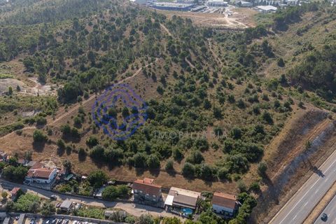 Helårsgrund i Coimbra, Coimbra, Coimbra - € 400.000 | Ref: 1106591 - foto 9