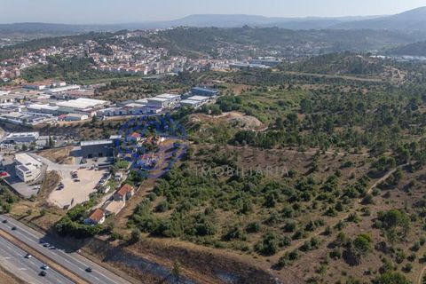Helårsgrund i Coimbra, Coimbra, Coimbra - € 400.000 | Ref: 1106591 - foto 12