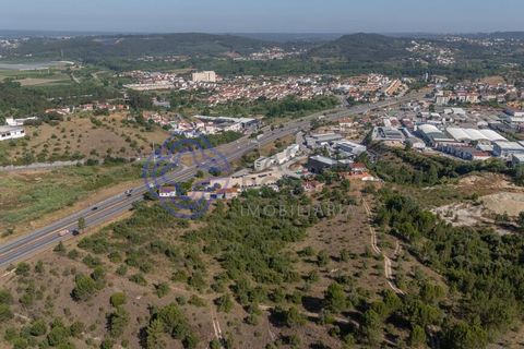 Helårsgrund i Coimbra, Coimbra, Coimbra - € 400.000 | Ref: 1106591 - foto 15