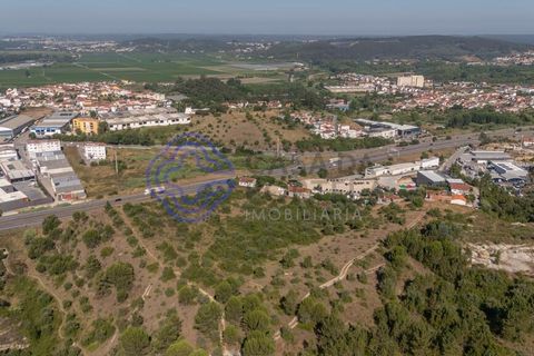 Helårsgrund i Coimbra, Coimbra, Coimbra - € 400.000 | Ref: 1106591 - foto 16