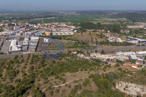 Helårsgrund i Coimbra, Coimbra, Coimbra - € 400.000 | Ref: 1106591 - foto 17