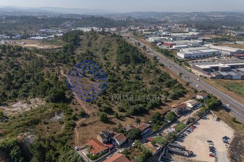 Helårsgrund i Coimbra, Coimbra, Coimbra - € 400.000 | Ref: 1106591 - foto 25