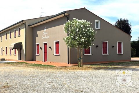Erhvervsejendom i Este, Padua, Este - € 550.000 | Ref: ATT09 - foto 2