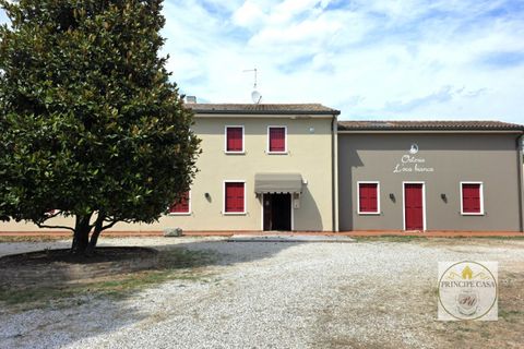 Erhvervsejendom i Este, Padua, Este - € 550.000 | Ref: ATT09 - foto 3
