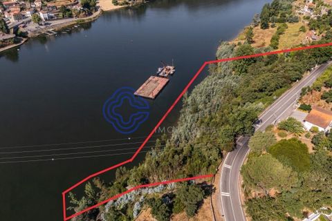 Helårsgrund i Gondomar, Porto, Gondomar - € 499.000 | Ref: 1107091 - foto 15