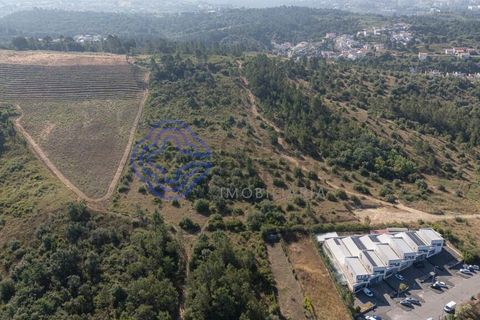 Helårsgrund i Coimbra, Coimbra, Coimbra - € 800.000 | Ref: 1106601 - foto 2