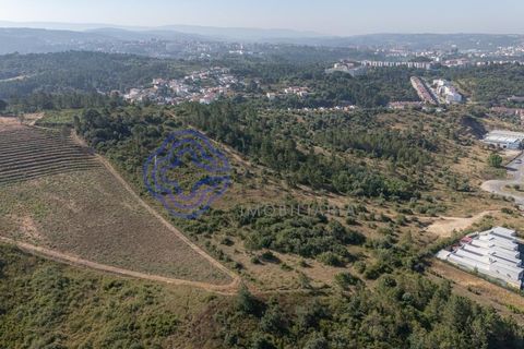 Helårsgrund i Coimbra, Coimbra, Coimbra - € 800.000 | Ref: 1106601 - foto 4
