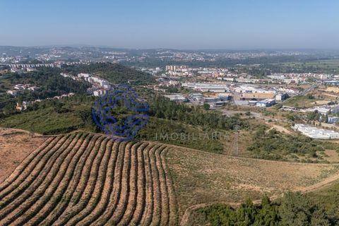 Helårsgrund i Coimbra, Coimbra, Coimbra - € 800.000 | Ref: 1106601 - foto 6