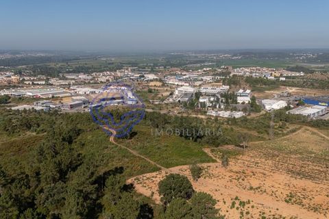 Helårsgrund i Coimbra, Coimbra, Coimbra - € 800.000 | Ref: 1106601 - foto 8