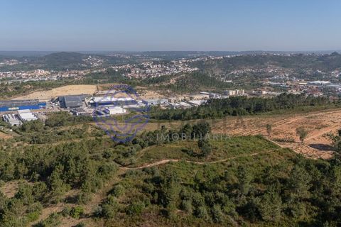 Helårsgrund i Coimbra, Coimbra, Coimbra - € 800.000 | Ref: 1106601 - foto 10