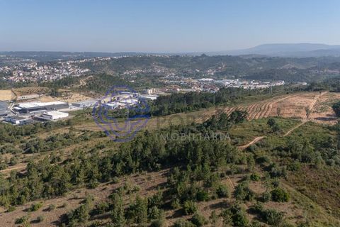 Helårsgrund i Coimbra, Coimbra, Coimbra - € 800.000 | Ref: 1106601 - foto 11