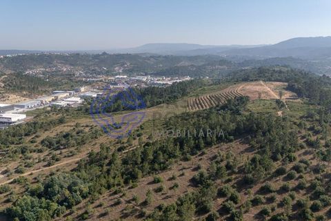 Helårsgrund i Coimbra, Coimbra, Coimbra - € 800.000 | Ref: 1106601 - foto 12