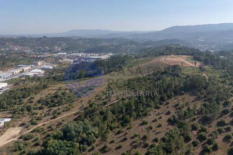 Helårsgrund i Coimbra, Coimbra, Coimbra - € 800.000 | Ref: 1106601 - foto 13