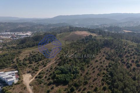 Helårsgrund i Coimbra, Coimbra, Coimbra - € 800.000 | Ref: 1106601 - foto 14