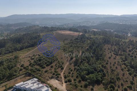 Helårsgrund i Coimbra, Coimbra, Coimbra - € 800.000 | Ref: 1106601 - foto 15
