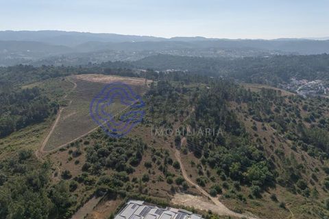 Helårsgrund i Coimbra, Coimbra, Coimbra - € 800.000 | Ref: 1106601 - foto 16
