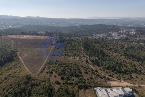 Helårsgrund i Coimbra, Coimbra, Coimbra - € 800.000 | Ref: 1106601 - foto 17
