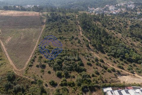 Helårsgrund i Coimbra, Coimbra, Coimbra - € 800.000 | Ref: 1106601 - foto 18