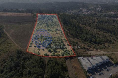 Helårsgrund i Coimbra, Coimbra, Coimbra - € 800.000 | Ref: 1106601 - foto 1