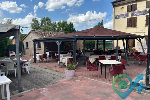 Erhvervsejendom i Quistello, Mantua, Quistello - € 450.000 | Ref: 5346 - foto 29