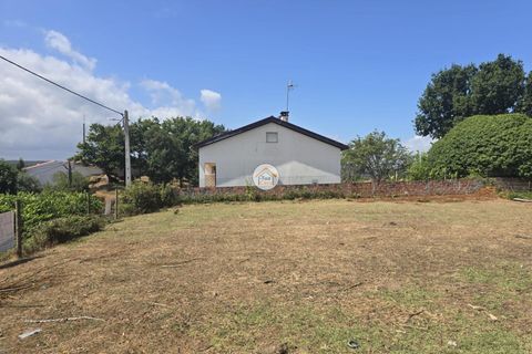 Helårsgrund i Tabua, Coimbra, Tabua - € 20.000 | Ref: 5TC3841 - foto 1