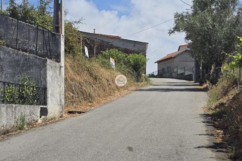 Helårsgrund i Tabua, Coimbra, Tabua - € 20.000 | Ref: 5TC3841 - foto 5