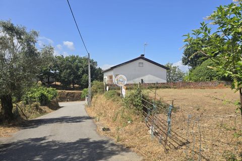 Helårsgrund i Tabua, Coimbra, Tabua - € 20.000 | Ref: 5TC3841 - foto 6