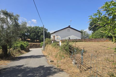 Helårsgrund i Tabua, Coimbra, Tabua - € 20.000 | Ref: 5TC3841 - foto 7