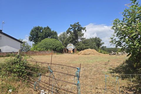 Helårsgrund i Tabua, Coimbra, Tabua - € 20.000 | Ref: 5TC3841 - foto 9