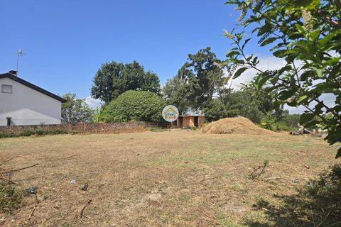 Helårsgrund i Tabua, Coimbra, Tabua - € 20.000 | Ref: 5TC3841 - foto 10