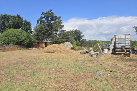 Helårsgrund i Tabua, Coimbra, Tabua - € 20.000 | Ref: 5TC3841 - foto 13