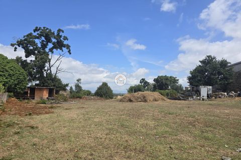 Helårsgrund i Tabua, Coimbra, Tabua - € 20.000 | Ref: 5TC3841 - foto 14
