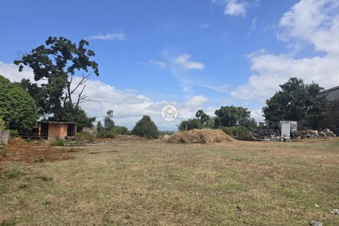 Helårsgrund i Tabua, Coimbra, Tabua - € 20.000 | Ref: 5TC3841 - foto 15