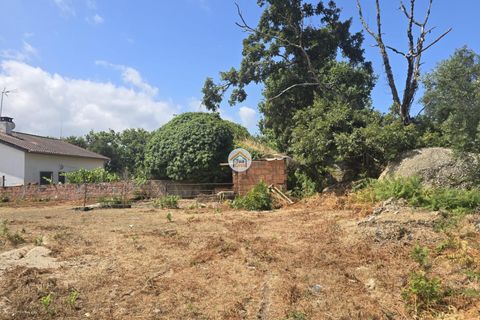 Helårsgrund i Tabua, Coimbra, Tabua - € 20.000 | Ref: 5TC3841 - foto 17