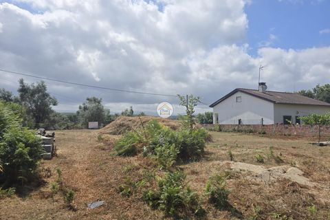 Helårsgrund i Tabua, Coimbra, Tabua - € 20.000 | Ref: 5TC3841 - foto 18