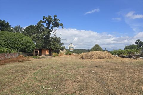 Helårsgrund i Tabua, Coimbra, Tabua - € 20.000 | Ref: 5TC3841 - foto 19