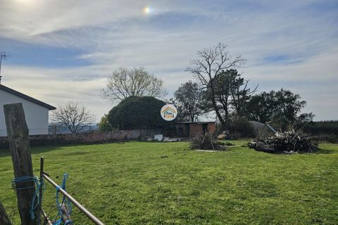 Helårsgrund i Tabua, Coimbra, Tabua - € 20.000 | Ref: 5TC3841 - foto 20