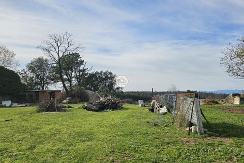 Helårsgrund i Tabua, Coimbra, Tabua - € 20.000 | Ref: 5TC3841 - foto 22