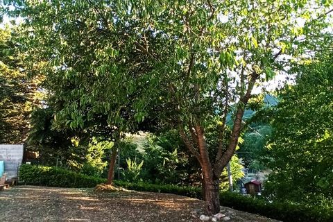 Villa a Pieve Torina, Macerata, Pieve Torina - € 129.000 | Ref: MC0-44744 - foto 12