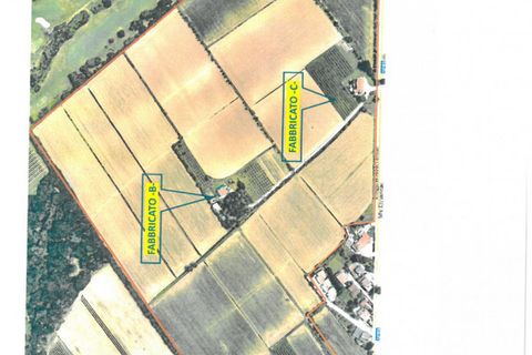 Villa a Selvazzano Dentro, Padua, Selvazzano Dentro - € 195.000 | Ref: G127-C - foto 41