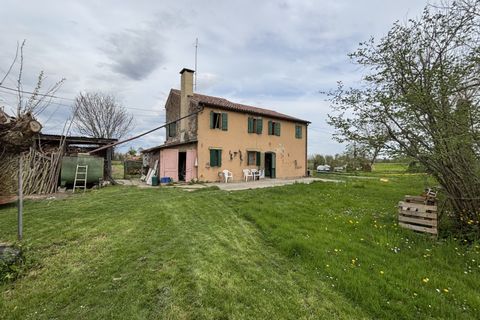 Helårsgrund i Selvazzano Dentro, Padua, Selvazzano Dentro - € 1.860.000 | Ref: G129 - foto 2