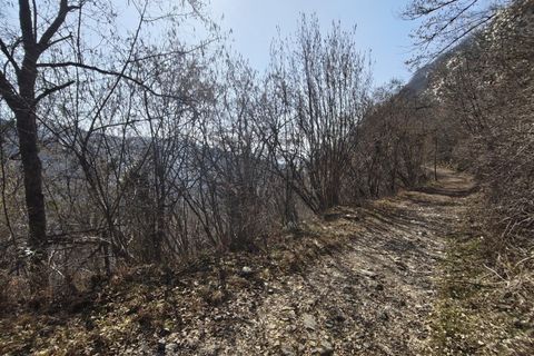 Helårsgrund i Belluno, Belluno, Belluno - € 645.000 | Ref: G115 - foto 1