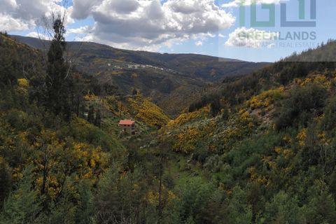 Landejendom i Arganil, Coimbra, Arganil - € 45.000 | Ref: 362 - foto 4