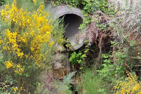 Landejendom i Arganil, Coimbra, Arganil - € 45.000 | Ref: 362 - foto 9